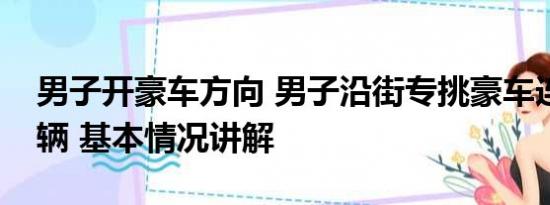 男子开豪车方向 男子沿街专挑豪车连砸十几辆 基本情况讲解