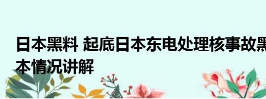 日本黑料 起底日本东电处理核事故黑历史 基本情况讲解