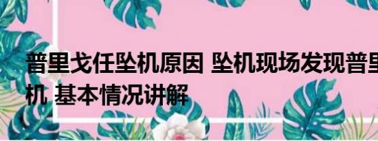 普里戈任坠机原因 坠机现场发现普里戈任手机 基本情况讲解