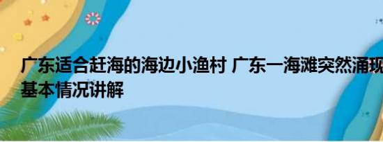 广东适合赶海的海边小渔村 广东一海滩突然涌现大量海虾 基本情况讲解