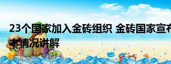 23个国家加入金砖组织 金砖国家宣布扩员 基本情况讲解