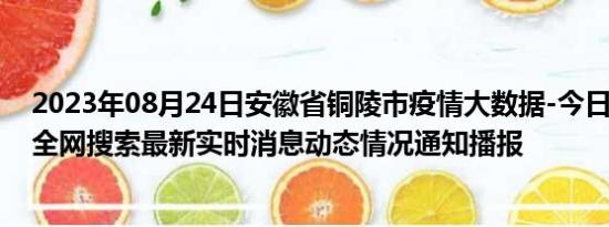 2023年08月24日安徽省铜陵市疫情大数据-今日/今天疫情全网搜索最新实时消息动态情况通知播报