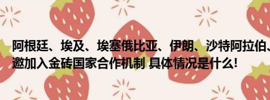 阿根廷、埃及、埃塞俄比亚、伊朗、沙特阿拉伯、阿联酋获邀加入金砖国家合作机制 具体情况是什么!