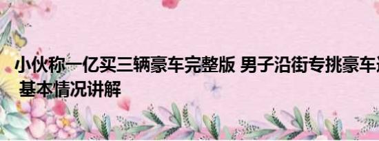 小伙称一亿买三辆豪车完整版 男子沿街专挑豪车连砸十几辆 基本情况讲解