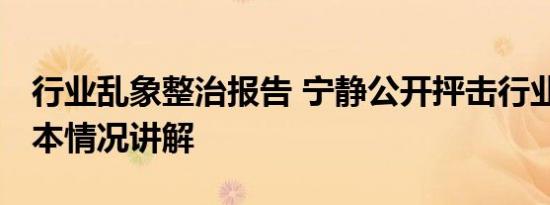 行业乱象整治报告 宁静公开抨击行业乱象 基本情况讲解