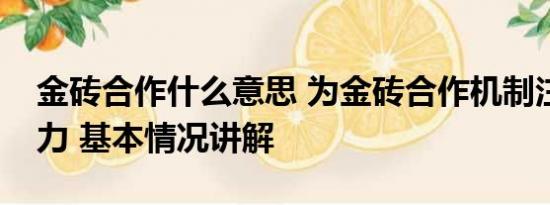 金砖合作什么意思 为金砖合作机制注入新活力 基本情况讲解