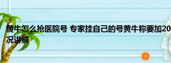 黄牛怎么抢医院号 专家挂自己的号黄牛称要加200元 基本情况讲解