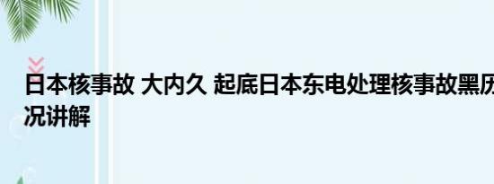 日本核事故 大内久 起底日本东电处理核事故黑历史 基本情况讲解