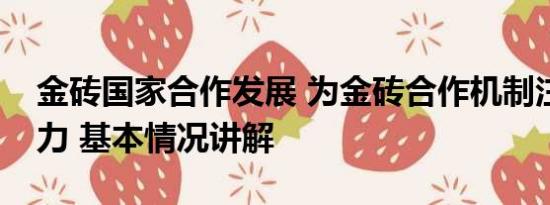 金砖国家合作发展 为金砖合作机制注入新活力 基本情况讲解