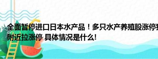 全面暂停进口日本水产品！多只水产养殖股涨停獐子岛跌停附近拉涨停 具体情况是什么!