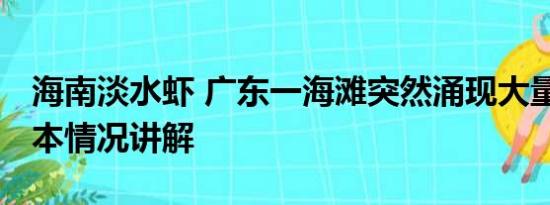 海南淡水虾 广东一海滩突然涌现大量海虾 基本情况讲解