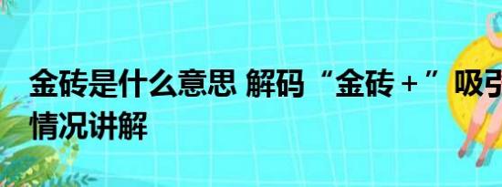 金砖是什么意思 解码“金砖＋”吸引力 基本情况讲解