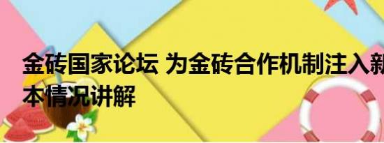 金砖国家论坛 为金砖合作机制注入新活力 基本情况讲解