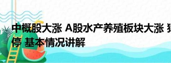 中概股大涨 A股水产养殖板块大涨 獐子岛涨停 基本情况讲解