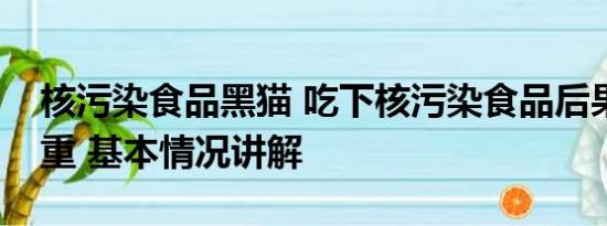 核污染食品黑猫 吃下核污染食品后果有多严重 基本情况讲解