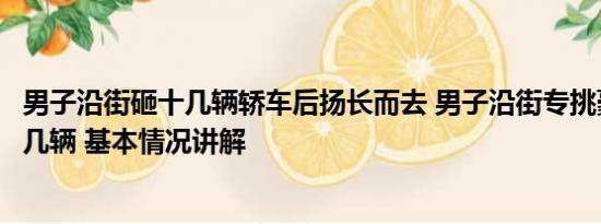 男子沿街砸十几辆轿车后扬长而去 男子沿街专挑豪车连砸十几辆 基本情况讲解