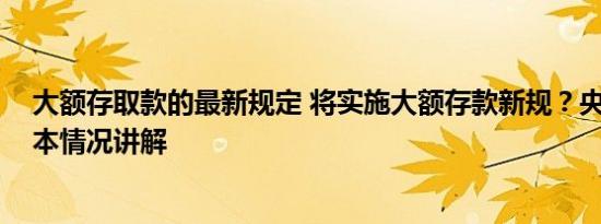 大额存取款的最新规定 将实施大额存款新规？央行辟谣 基本情况讲解