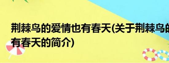 荆棘鸟的爱情也有春天(关于荆棘鸟的爱情也有春天的简介)