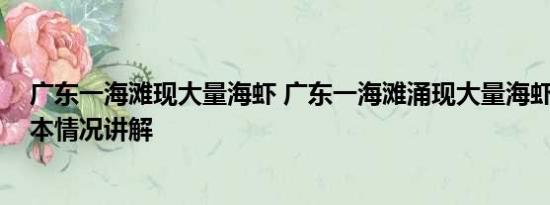 广东一海滩现大量海虾 广东一海滩涌现大量海虾系谣言 基本情况讲解