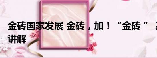 金砖国家发展 金砖，加！“金砖 ” 基本情况讲解