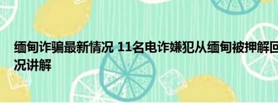 缅甸诈骗最新情况 11名电诈嫌犯从缅甸被押解回国 基本情况讲解