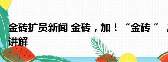 金砖扩员新闻 金砖，加！“金砖 ” 基本情况讲解