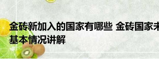 金砖新加入的国家有哪些 金砖国家未来可期 基本情况讲解