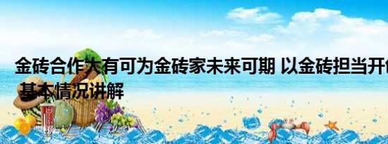 金砖合作大有可为金砖家未来可期 以金砖担当开创美好未来 基本情况讲解