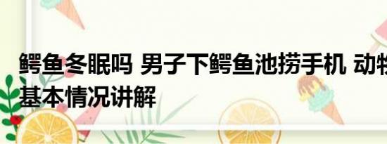 鳄鱼冬眠吗 男子下鳄鱼池捞手机 动物园回应 基本情况讲解