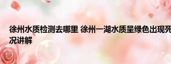 徐州水质检测去哪里 徐州一湖水质呈绿色出现死鱼 基本情况讲解