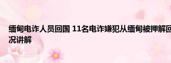 缅甸电诈人员回国 11名电诈嫌犯从缅甸被押解回国 基本情况讲解