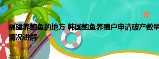 福建养鲍鱼的地方 韩国鲍鱼养殖户申请破产数量激增 基本情况讲解