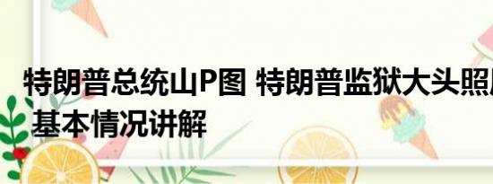 特朗普总统山P图 特朗普监狱大头照周边开卖 基本情况讲解