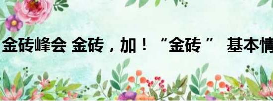 金砖峰会 金砖，加！“金砖 ” 基本情况讲解