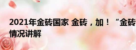 2021年金砖国家 金砖，加！“金砖 ” 基本情况讲解