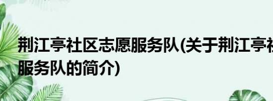 荆江亭社区志愿服务队(关于荆江亭社区志愿服务队的简介)