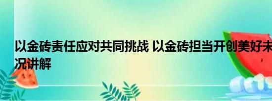 以金砖责任应对共同挑战 以金砖担当开创美好未来 基本情况讲解