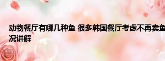 动物餐厅有哪几种鱼 很多韩国餐厅考虑不再卖鱼类 基本情况讲解