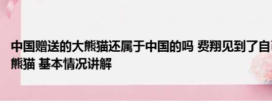 中国赠送的大熊猫还属于中国的吗 费翔见到了自己领养的大熊猫 基本情况讲解