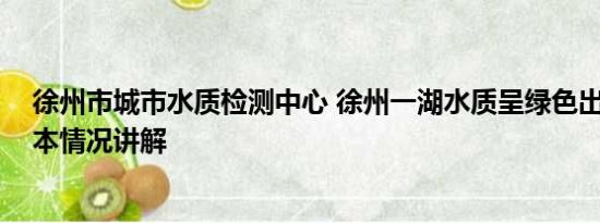 徐州市城市水质检测中心 徐州一湖水质呈绿色出现死鱼 基本情况讲解