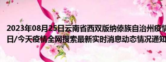 2023年08月25日云南省西双版纳傣族自治州疫情大数据-今日/今天疫情全网搜索最新实时消息动态情况通知播报