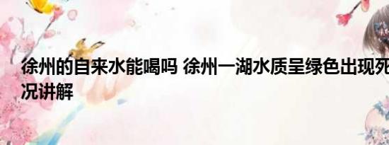 徐州的自来水能喝吗 徐州一湖水质呈绿色出现死鱼 基本情况讲解