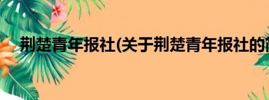 荆楚青年报社(关于荆楚青年报社的简介)