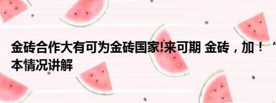 金砖合作大有可为金砖国家!来可期 金砖，加！“金砖 ” 基本情况讲解