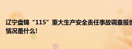 辽宁盘锦“115”重大生产安全责任事故调查报告公布 具体情况是什么!