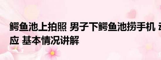 鳄鱼池上拍照 男子下鳄鱼池捞手机 动物园回应 基本情况讲解