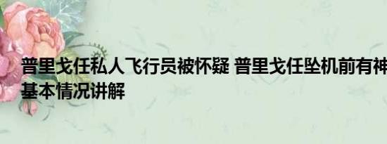 普里戈任私人飞行员被怀疑 普里戈任坠机前有神秘人登机 基本情况讲解