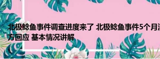 北极鲶鱼事件调查进度来了 北极鲶鱼事件5个月没结果？官方回应 基本情况讲解