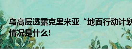 乌高层透露克里米亚“地面行动计划” 具体情况是什么!