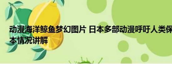 动漫海洋鲸鱼梦幻图片 日本多部动漫呼吁人类保护海洋 基本情况讲解